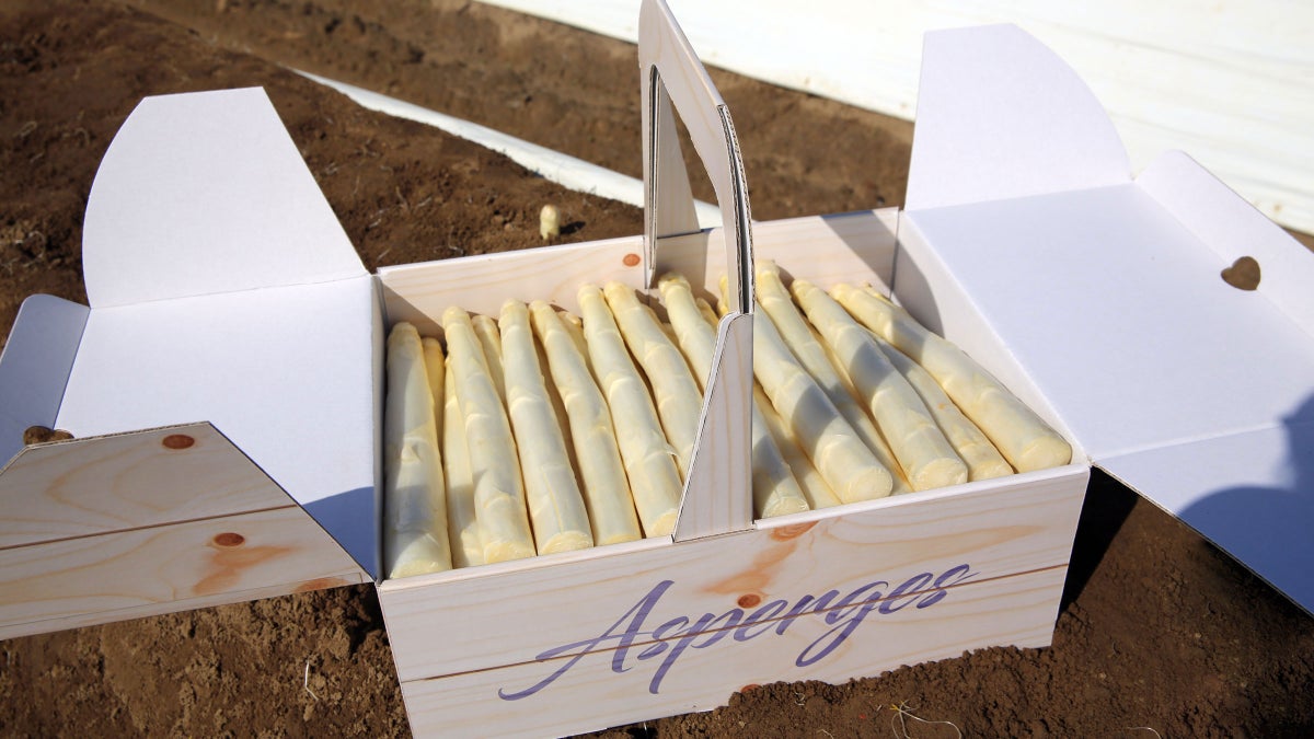 Dinerbox Asperges Karton Eigen Design Holbox Shopdirect 