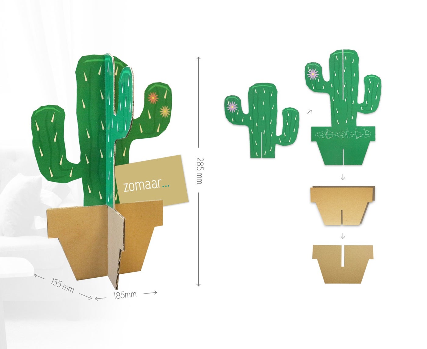 Cactus